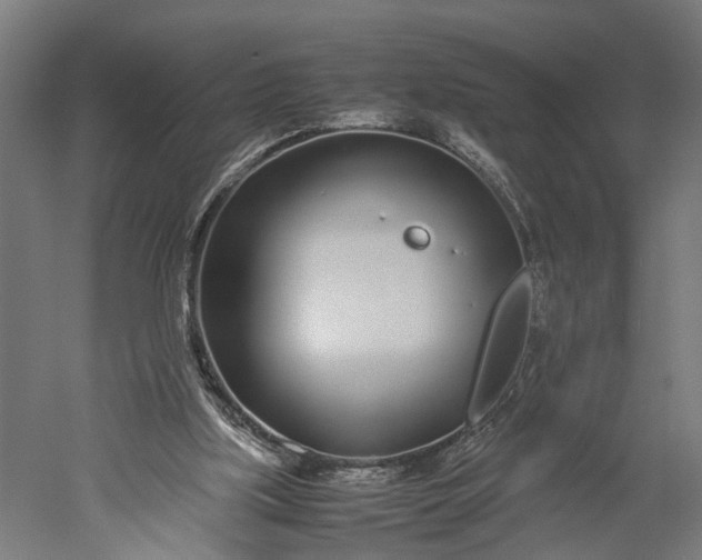 X0000051250059200507011703