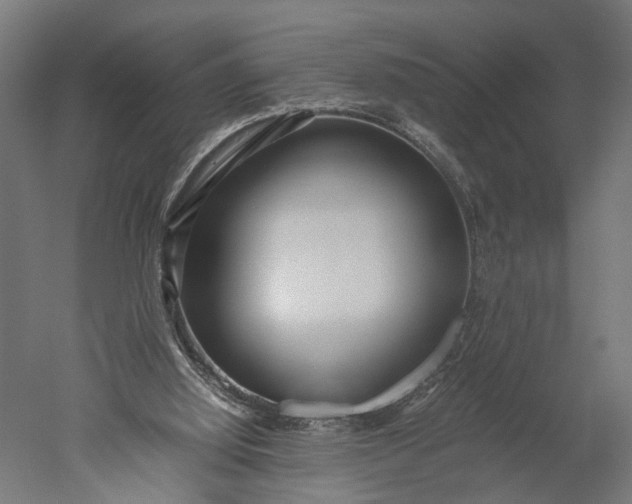 X0000051250060200507011703