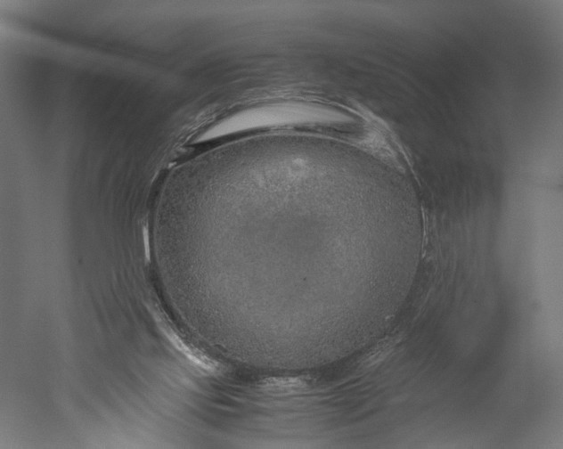 X0000051250061200507011703