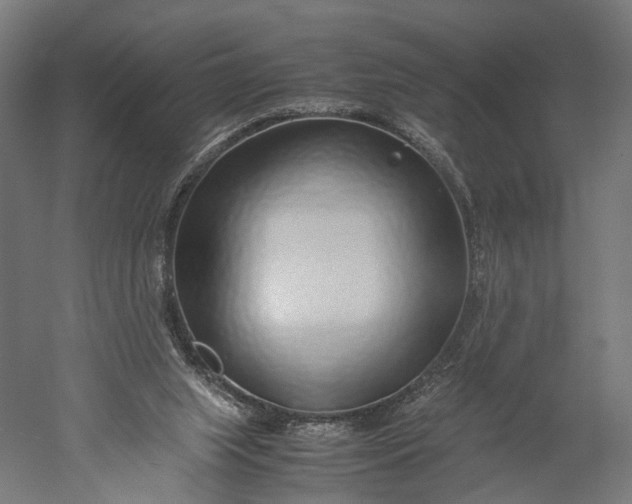 X0000051250063200507011703