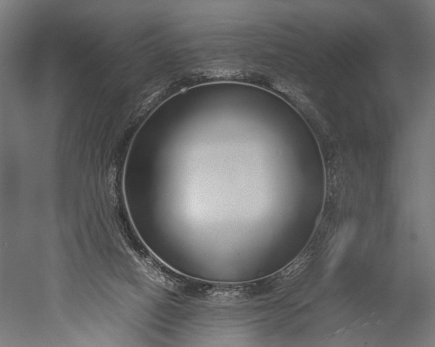 X0000051250066200507011703