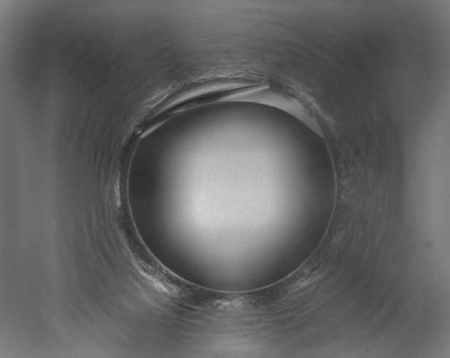 X0000051250068200507011703