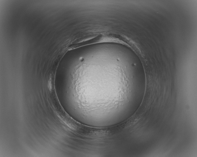 X0000051250069200507011703