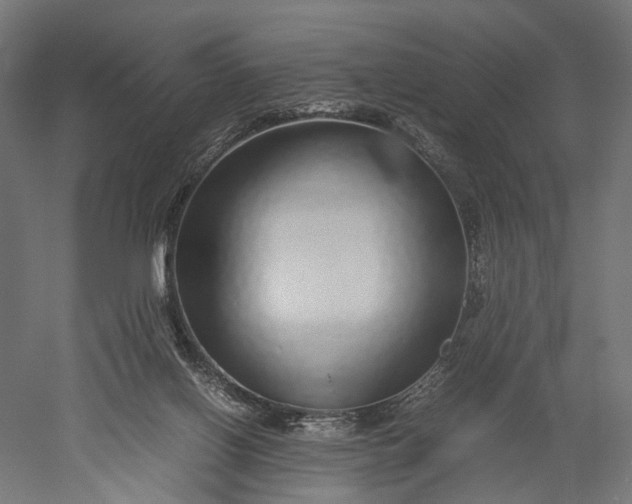 X0000051250070200507011703