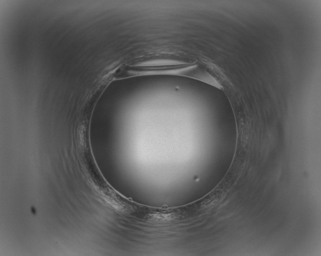 X0000051250071200507011703