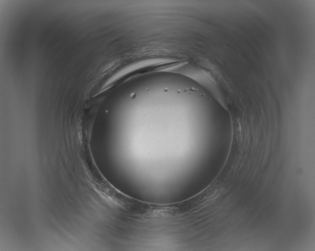 X0000051250072200507011703