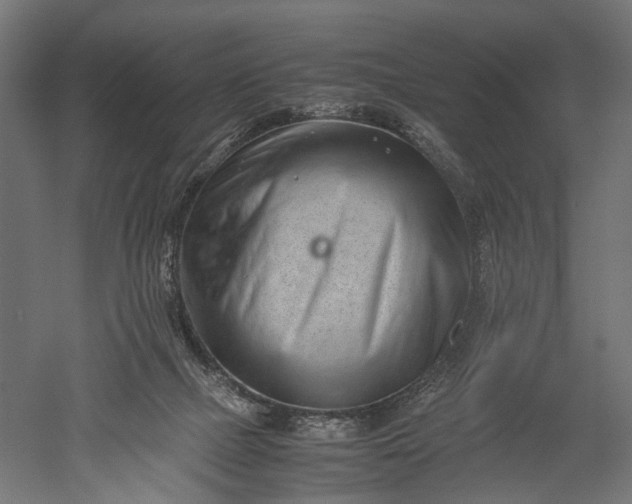 X0000051250073200507011703