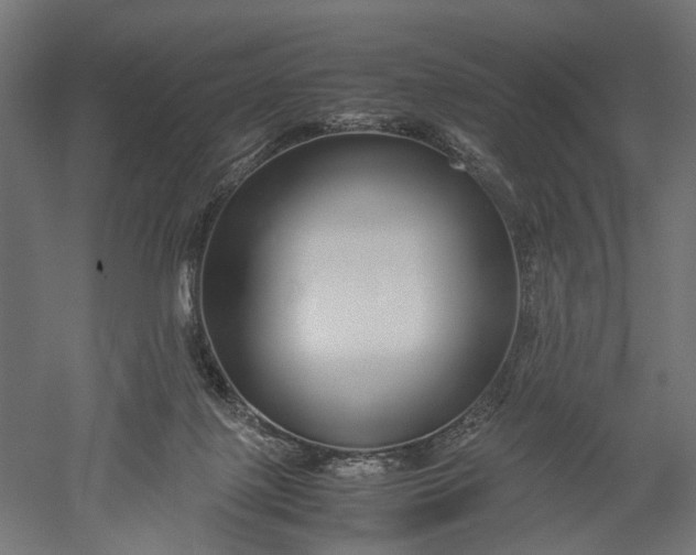 X0000051250075200507011703