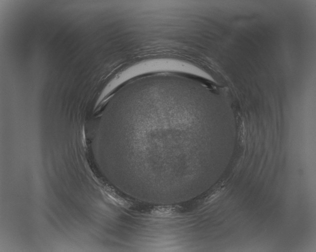 X0000051250076200507011703