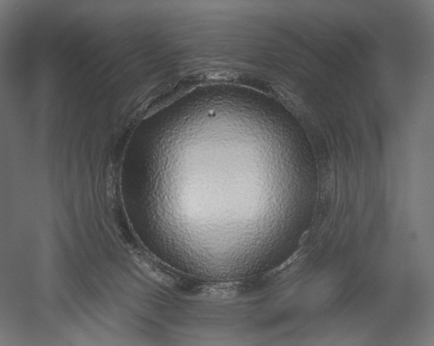 X0000051250078200507011703