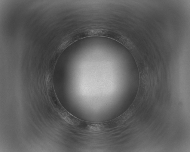 X0000051250079200507011703