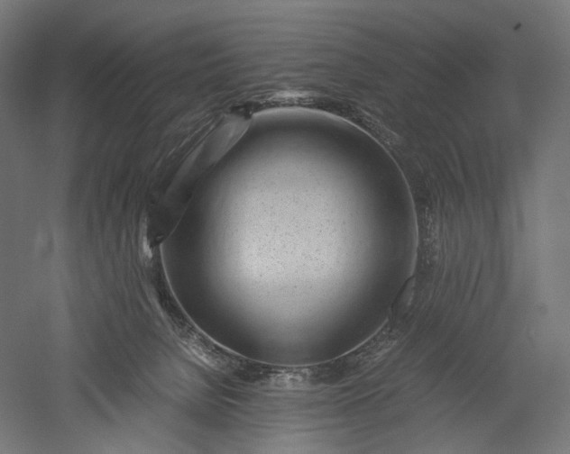 X0000051250080200507011703