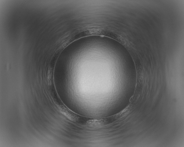 X0000051250082200507011703