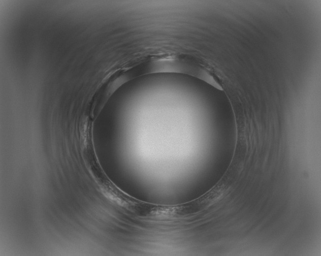 X0000051250084200507011703