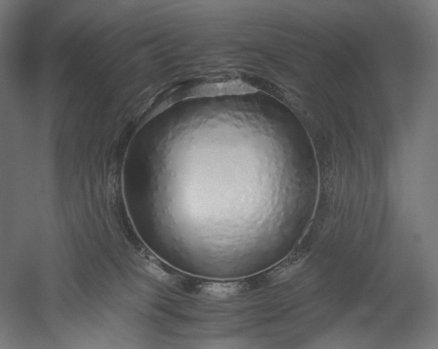 X0000051250085200507011703