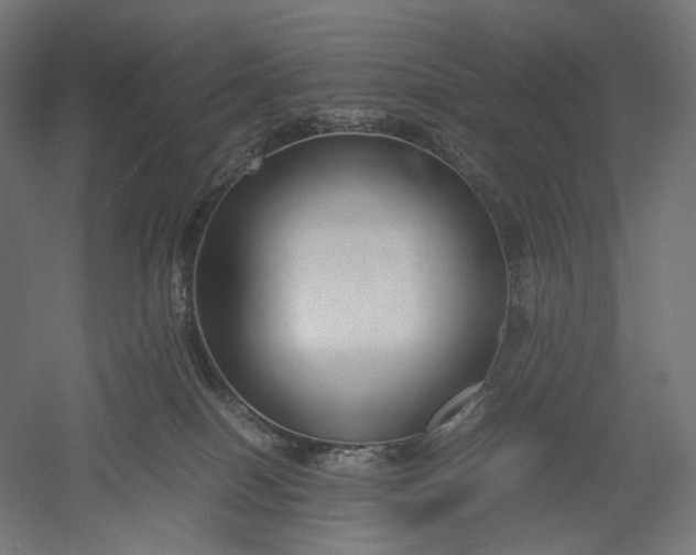 X0000051250086200507011703