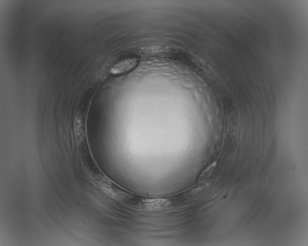 X0000051250087200507011703