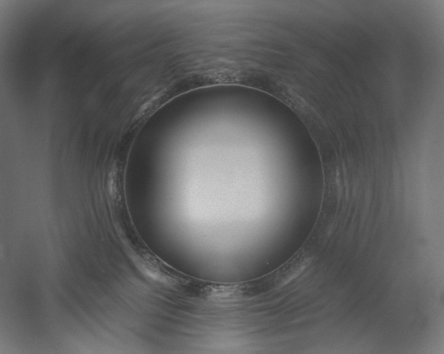 X0000051250088200507011703