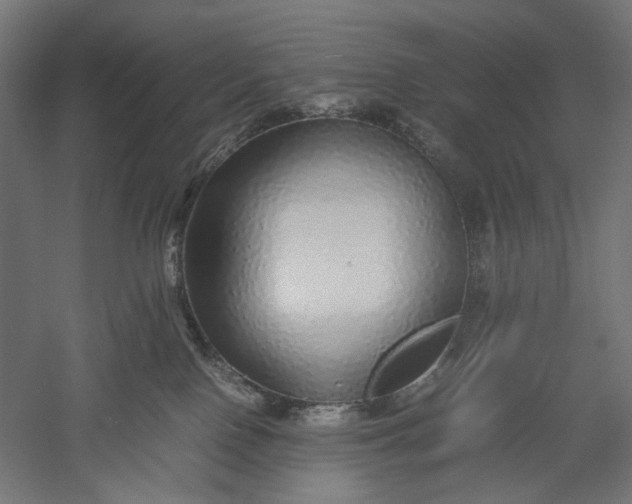 X0000051250090200507011703