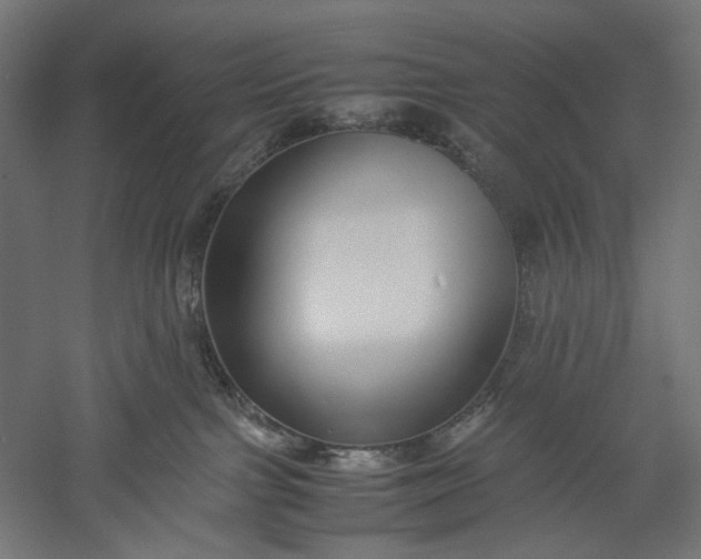 X0000051250091200507011703