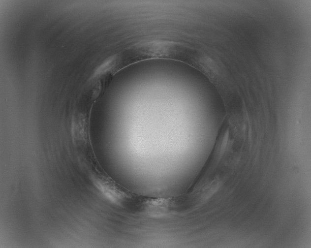 X0000051250092200507011703