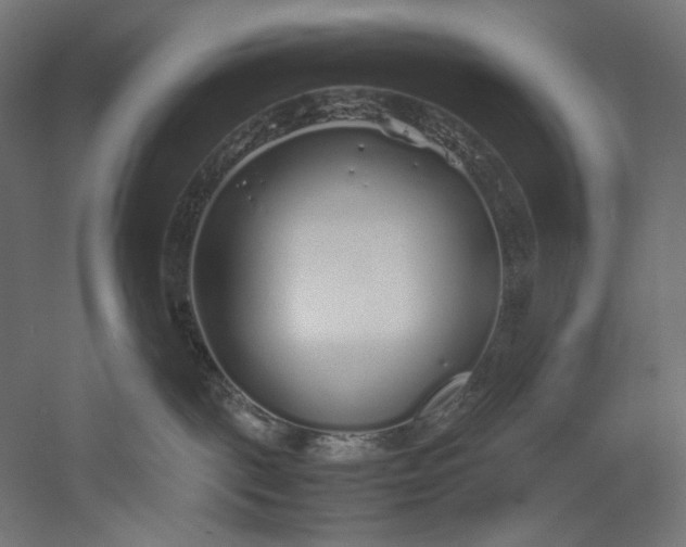 X0000051250093200507011703