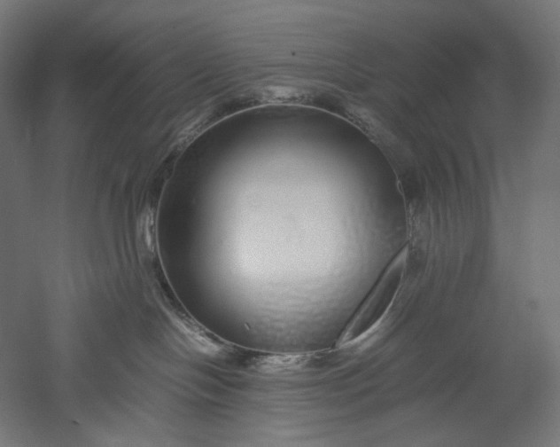 X0000051250094200507011703