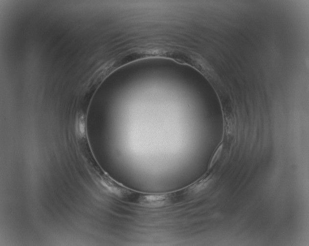 X0000051250095200507011703