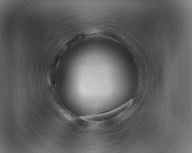 X0000051250096200507011704