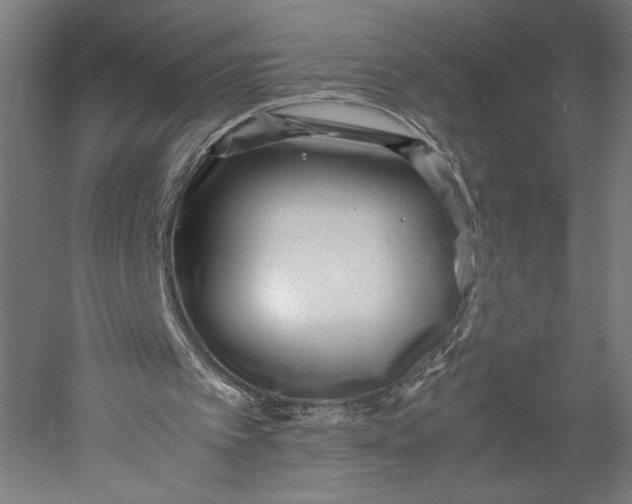 X0000051250097200507011703