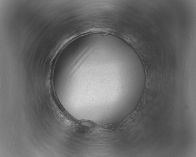 X0000051250098200507011703