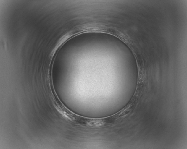 X0000051250099200507011703