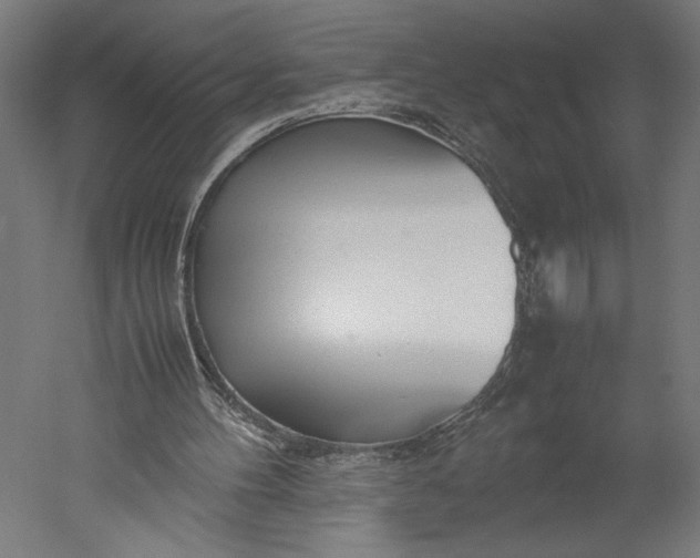 X0000051250100200507011703