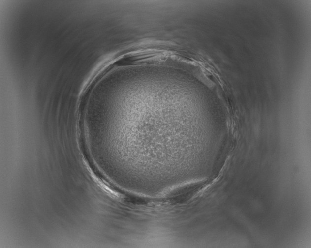 X0000051250101200507011703