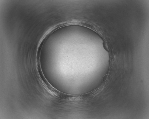 X0000051250102200507011703