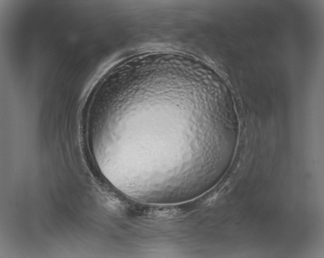 X0000051250103200507011703