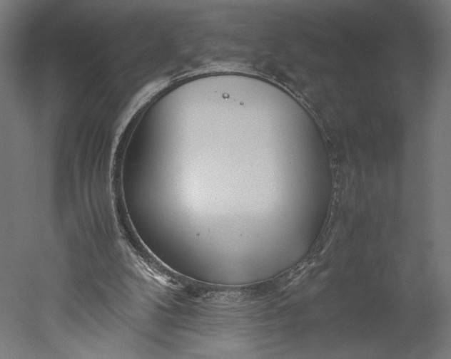 X0000051250104200507011703