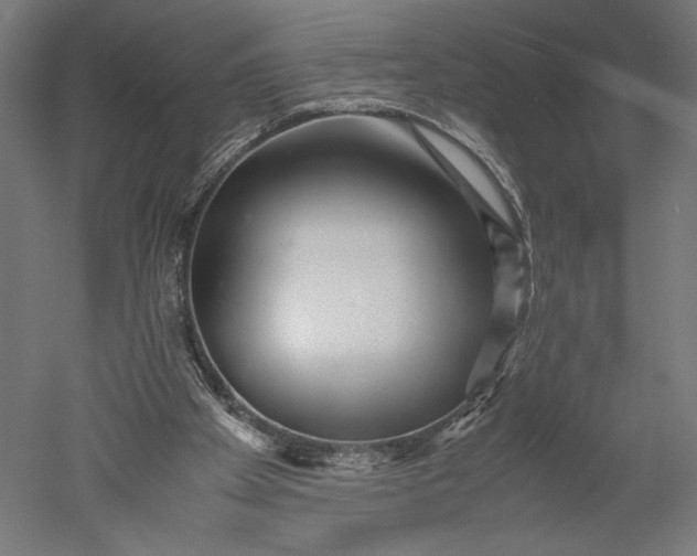 X0000051250105200507011703