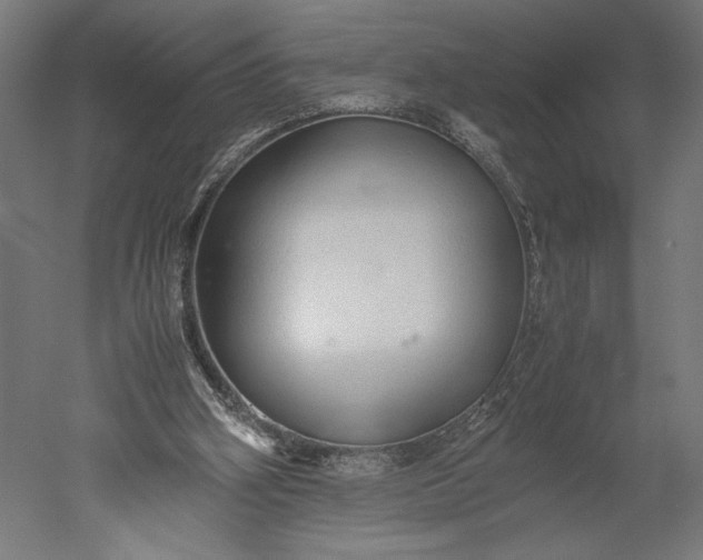 X0000051250106200507011703