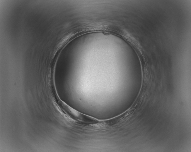 X0000051250107200507011703