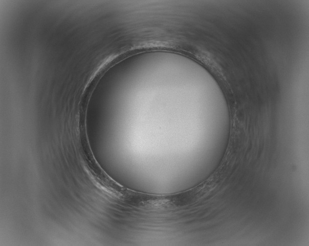 X0000051250108200507011702