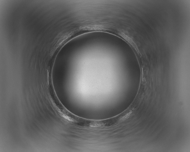 X0000051250109200507011702