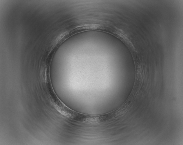 X0000051250110200507011702