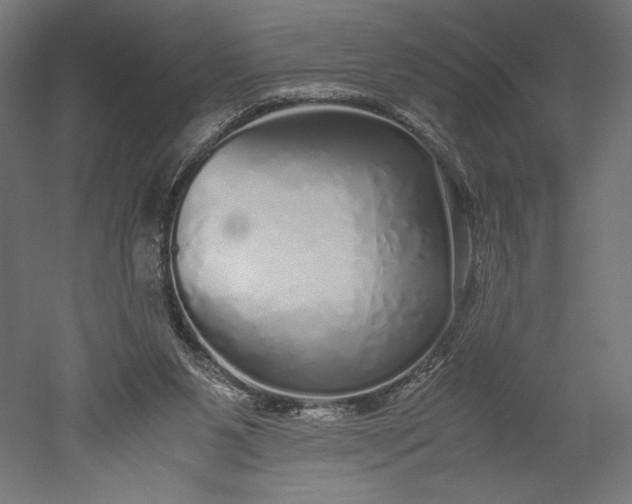 X0000051250111200507011702