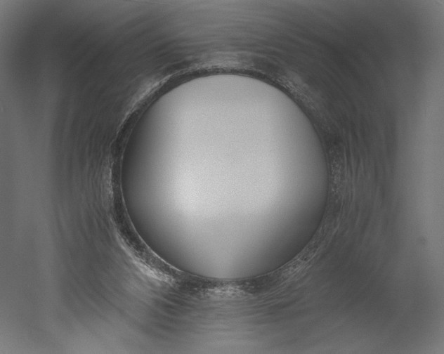 X0000051250112200507011702