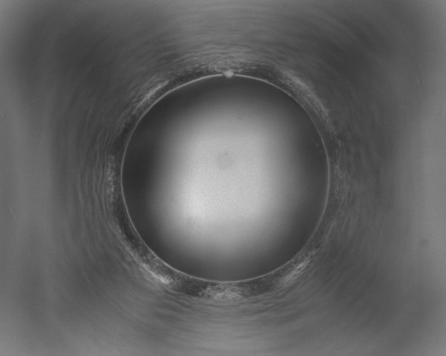 X0000051250113200507011702