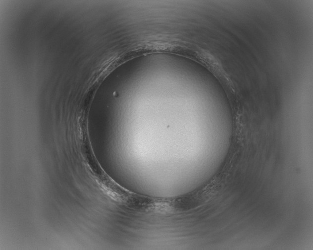 X0000051250114200507011702