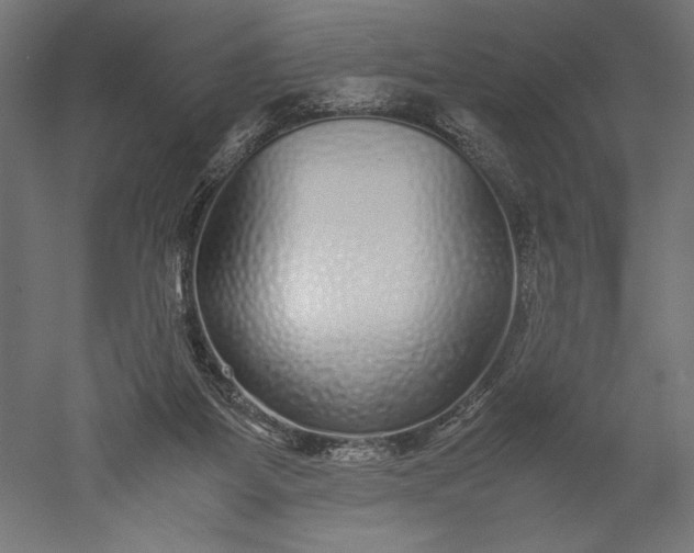 X0000051250115200507011702