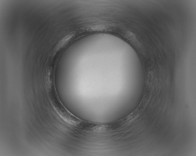 X0000051250116200507011702