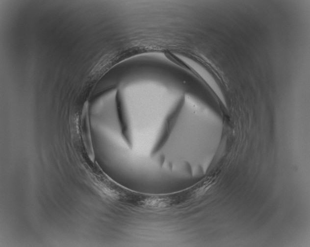 X0000051250117200507011702